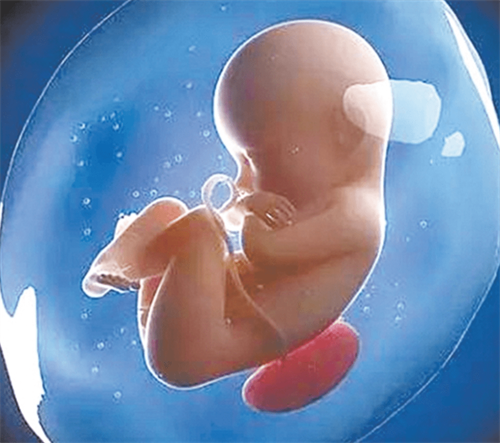 何时给婴儿补充铁剂？详解最佳服用时间