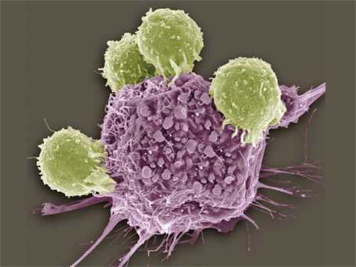 揭秘婴儿湿疹的终极解决方案