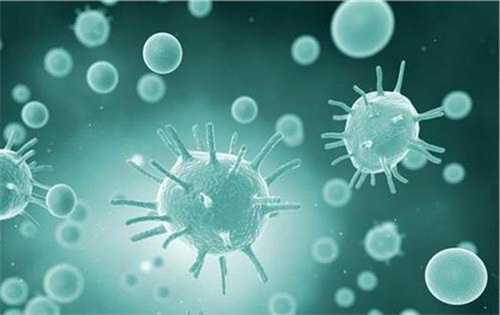 怀孕五个月的孕妇肚子有多大