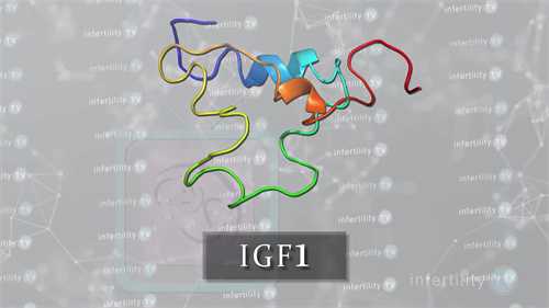 四个月宝宝辅食指南：探索营养丰富、美味可口的美食之旅